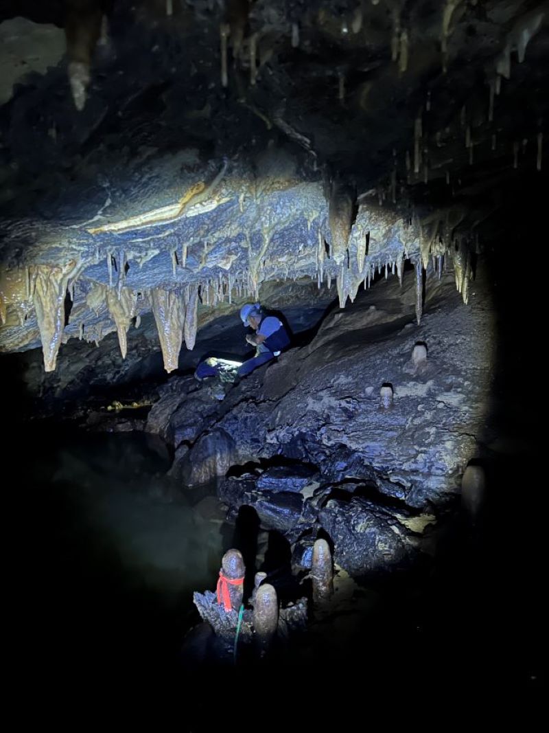 A glimpse inside the dark depths of the Mexican cave.