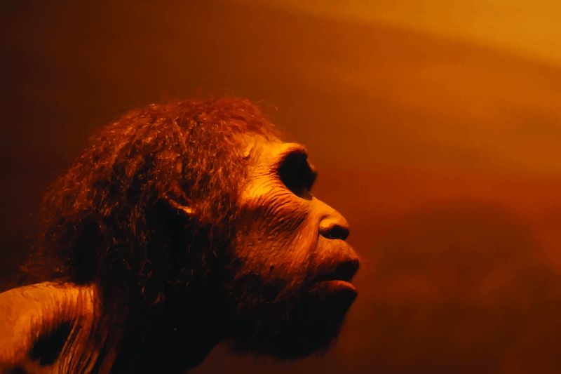 reconstruction of prehistoric hominin