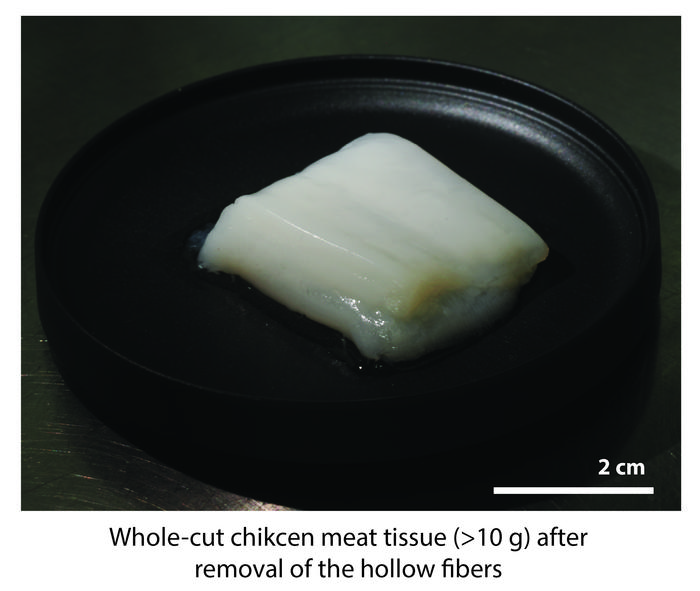 robot-grown chunk of cultivated chicken flesh