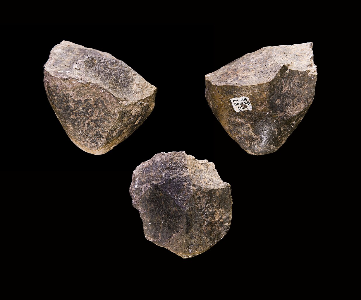 Stone "chopper" Oldowan tools found in Ethiopia dating back to 1.7 million years ago. 