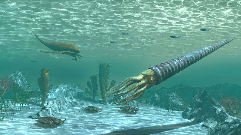 The Ordovician period saw some deep-sea weirdos changing and diversifying at a rate rarely seen before.