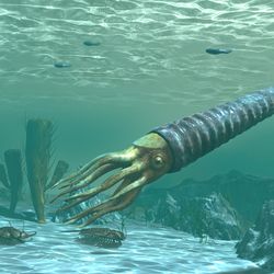 The Ordovician period saw some deep-sea weirdos changing and diversifying at a rate rarely seen before.