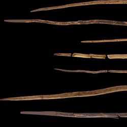 The Schöningen spears