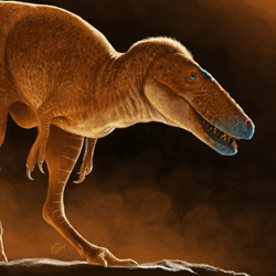 an illustration of a new species of dinosaur, it is small in size compared to t rex with a long snout