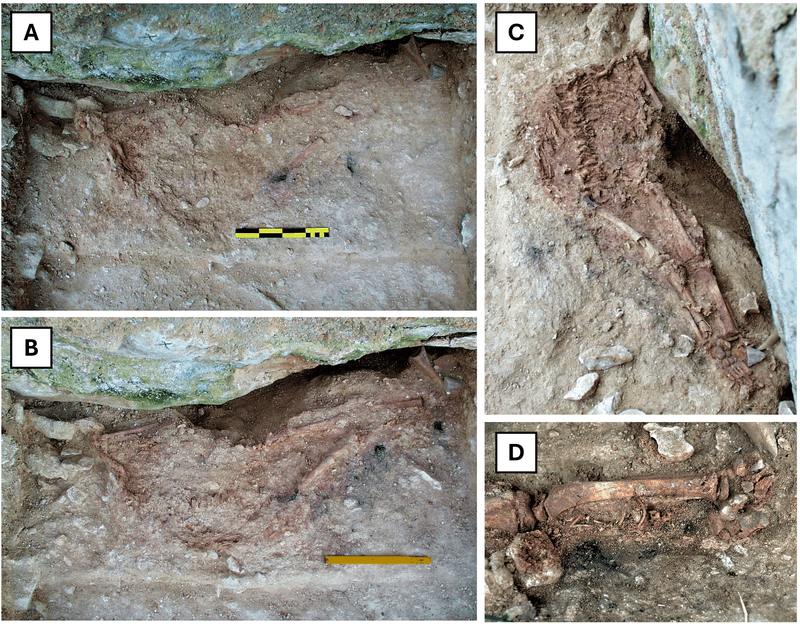 Lapedo Child's excavation