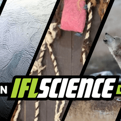 All the biggest science news stories of the week.